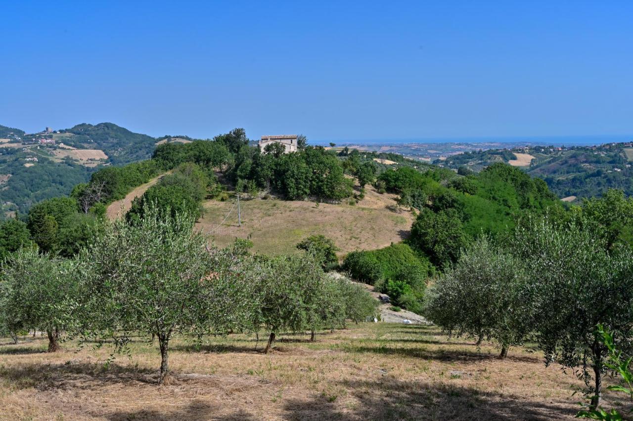 Casale Romani Country Residence Cerreto Castello Eksteriør billede